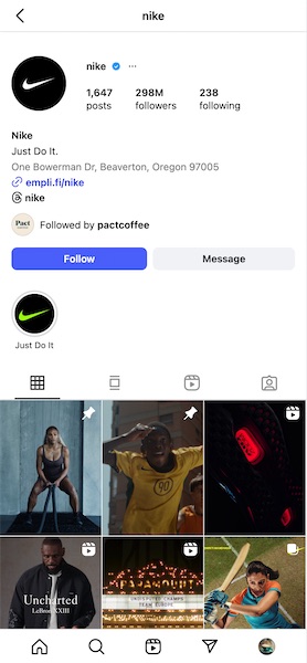 Instagram Profile Example